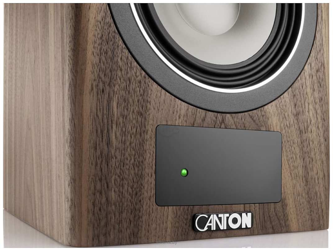 Фотографии Canton Smart Townus 2