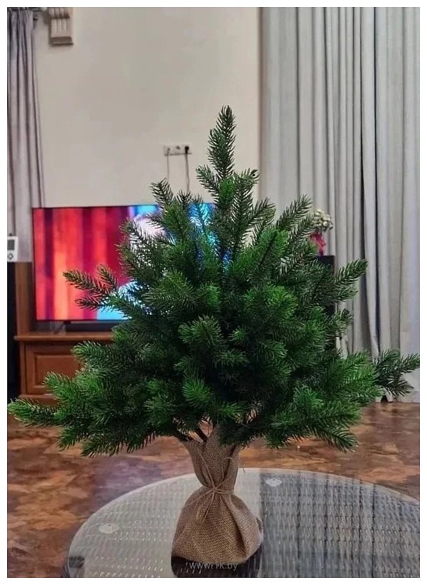 Фотографии National Tree Company Грация Премиум ГР/ПР-60 60 см