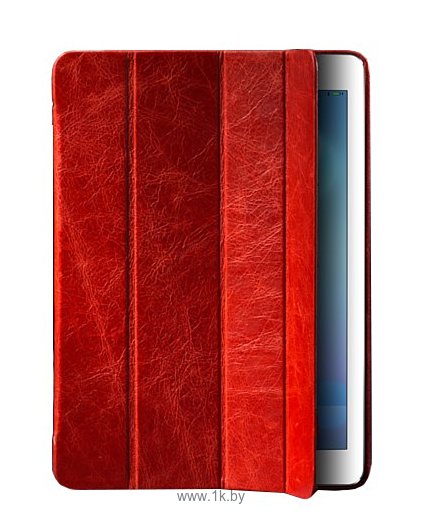 Фотографии Borofone General Series Red for iPad Air