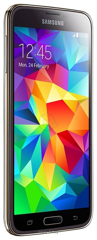 Фотографии Samsung Galaxy S5 Duos 16Gb SM-G900FD