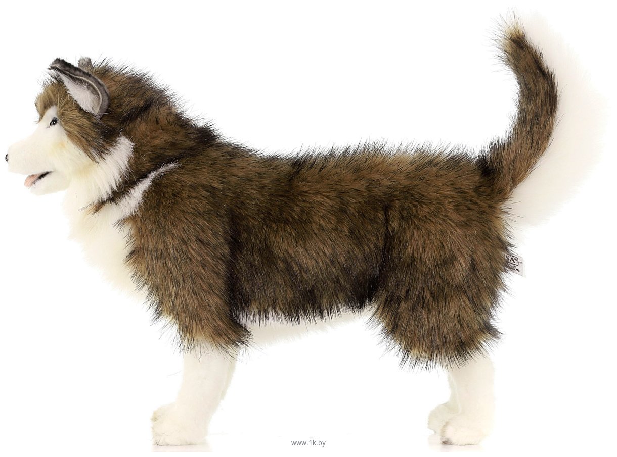 Фотографии Hansa Сreation Собака сибирский хаски 4824 (40 см)