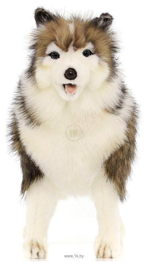 Фотографии Hansa Сreation Собака сибирский хаски 4824 (40 см)