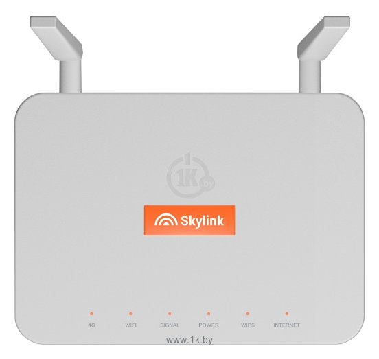 Фотографии Skylink V-FL500