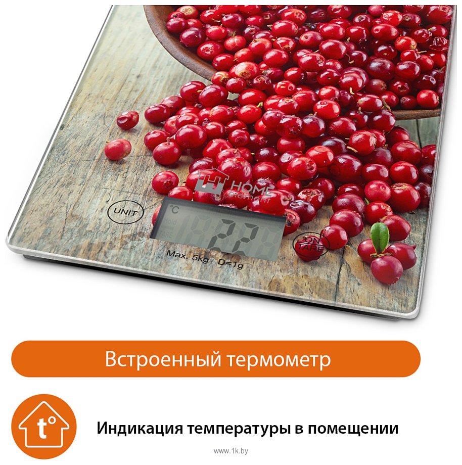 Фотографии Home Element HE-SC935 (брусничная россыпь)