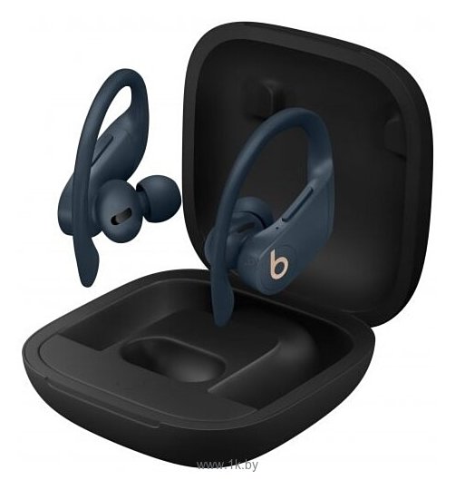 Фотографии Beats Powerbeats Pro