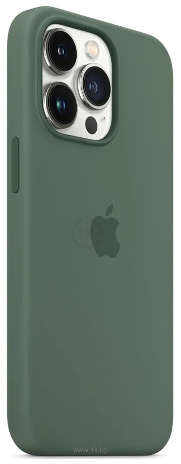 Фотографии Apple MagSafe Silicone Case для iPhone 13 Pro (эвкалиптово-зеленый)