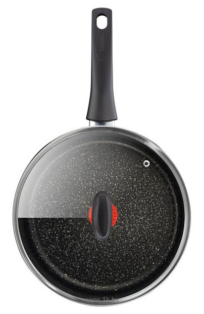 Фотографии Tefal Authentic C6343202