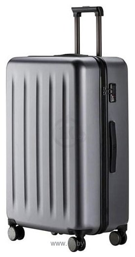 Фотографии Ninetygo PC Luggage 20" (серый)