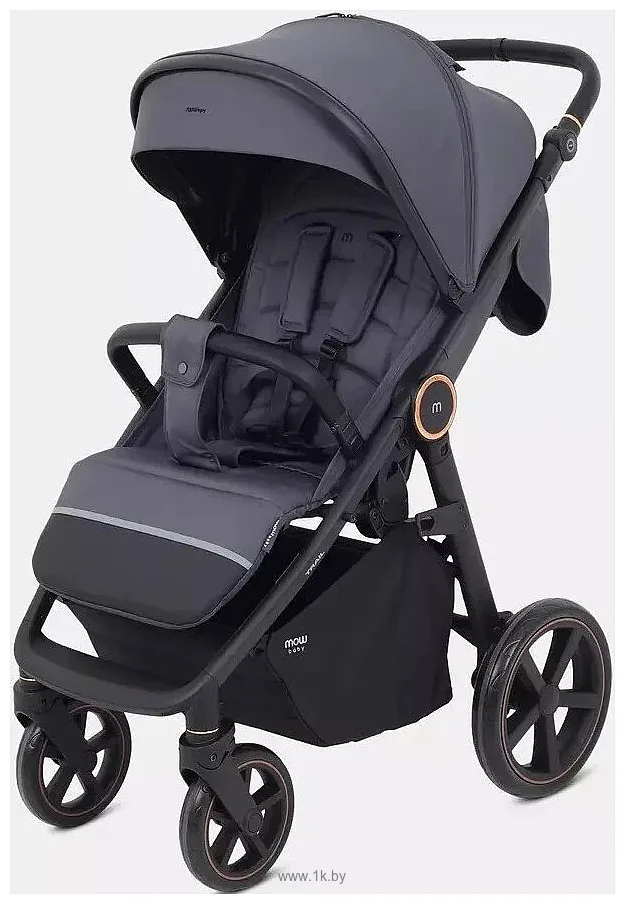 Фотографии MOWbaby Trail 2025 MB090