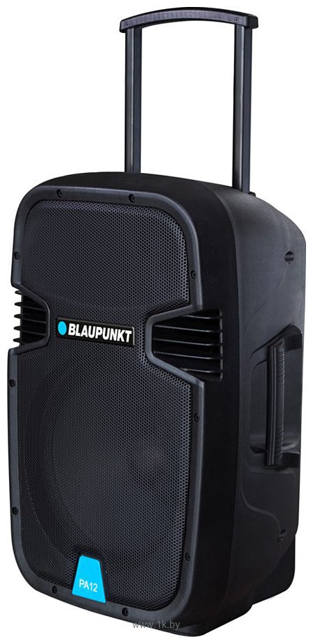 Фотографии Blaupunkt PA12