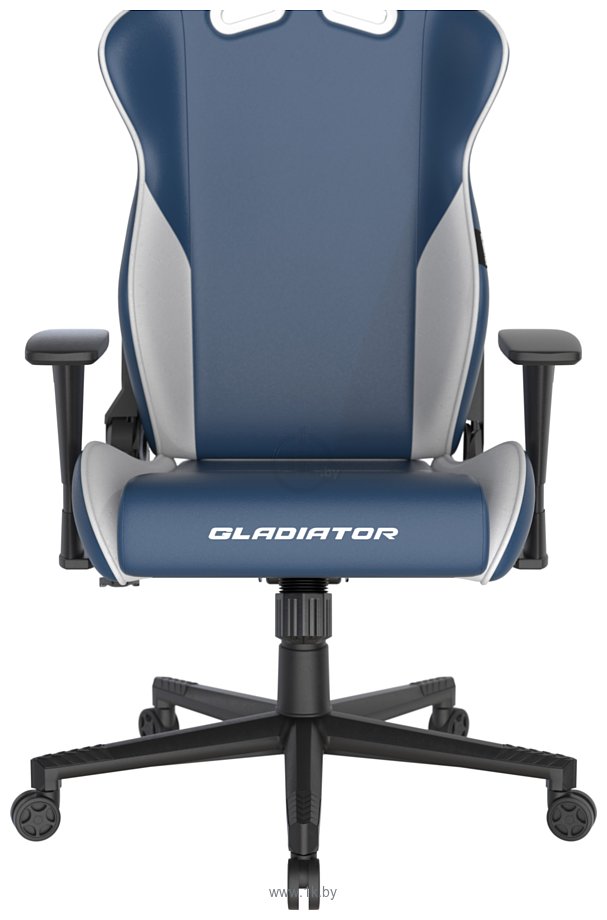 Фотографии DXRacer OH/G2300 (серо-голубой)