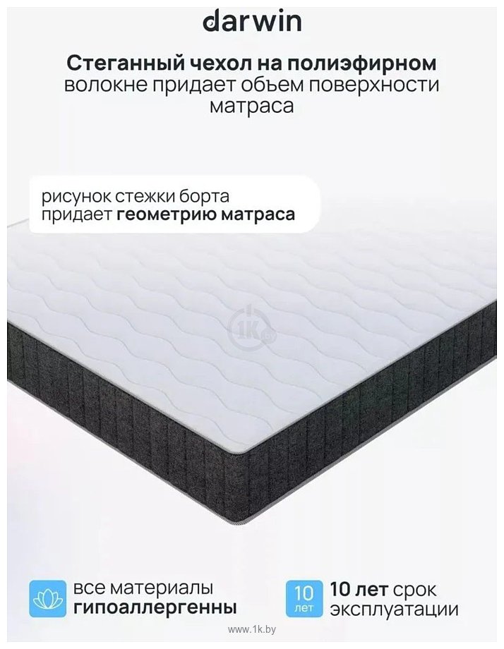 Фотографии Darwin Maestro 140x200 Фотографии Darwin Maestro 140x200