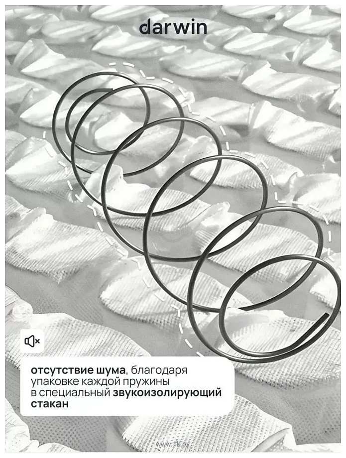 Фотографии Darwin Maestro 140x200 Фотографии Darwin Maestro 140x200