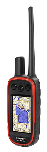 Фотографии Garmin Alpha 100 с ошейником TT 15