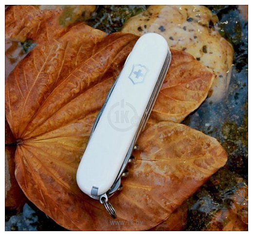 Фотографии Victorinox Camper (белый)