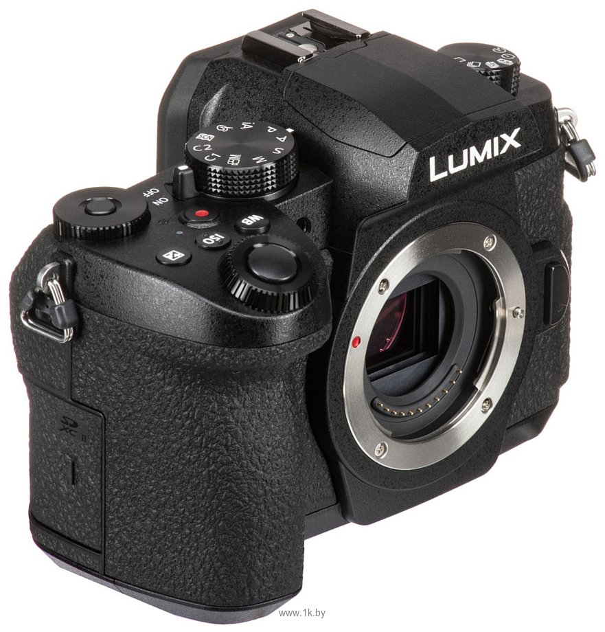 Фотографии Panasonic Lumix DC-G95 Kit
