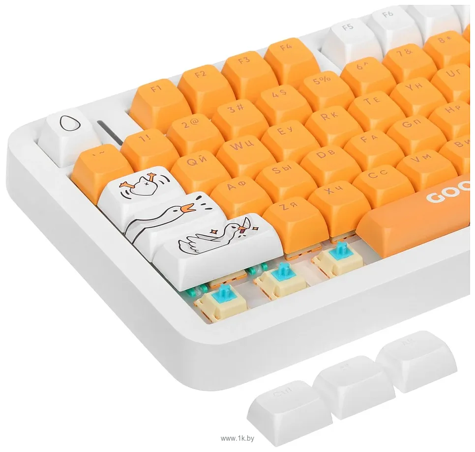 Фотографии Red Square Alumix TKL Classic Gooseboard g3ms Azure Фотографии Red Square Alumix TKL Classic Gooseboard g3ms Azure