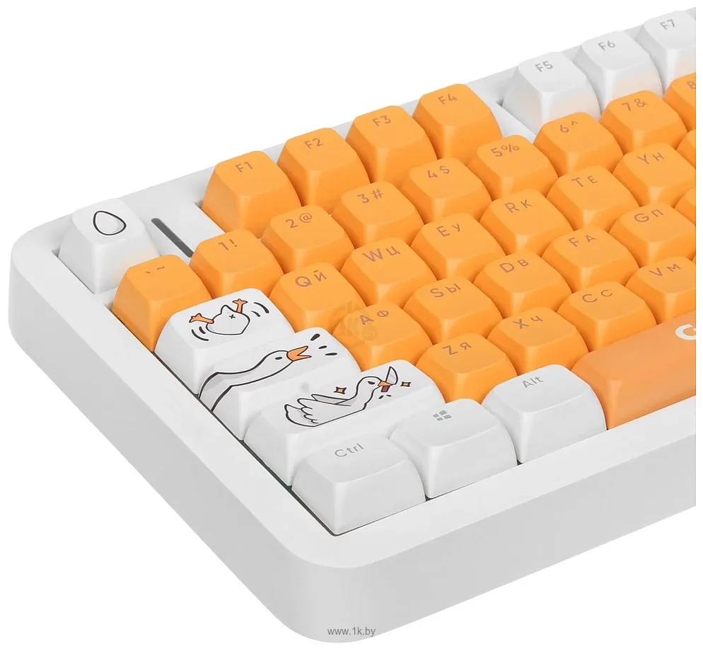 Фотографии Red Square Alumix TKL Classic Gooseboard g3ms Azure Фотографии Red Square Alumix TKL Classic Gooseboard g3ms Azure