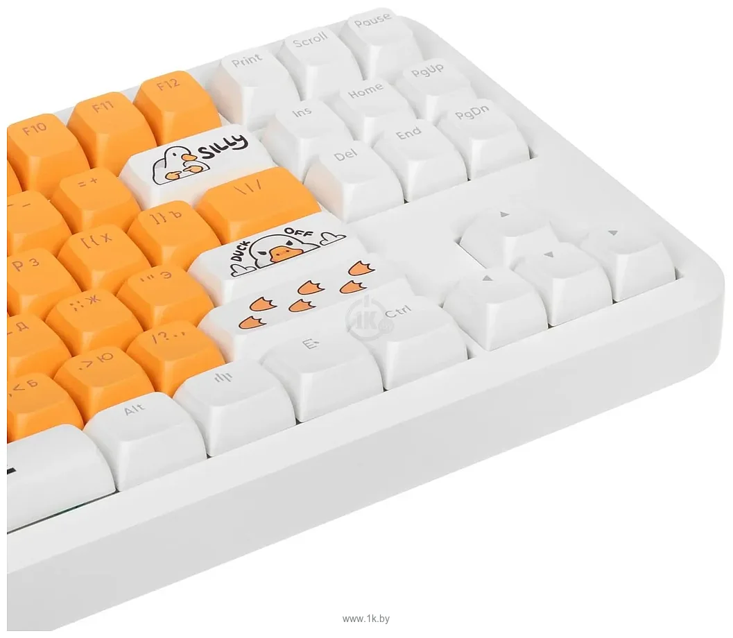 Фотографии Red Square Alumix TKL Classic Gooseboard g3ms Azure Фотографии Red Square Alumix TKL Classic Gooseboard g3ms Azure