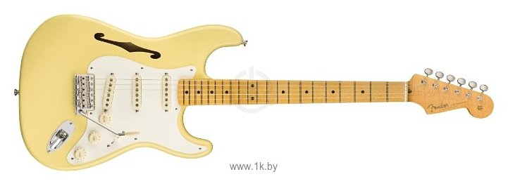 Фотографии Fender Eric Johnson Signature Stratocaster Thinline