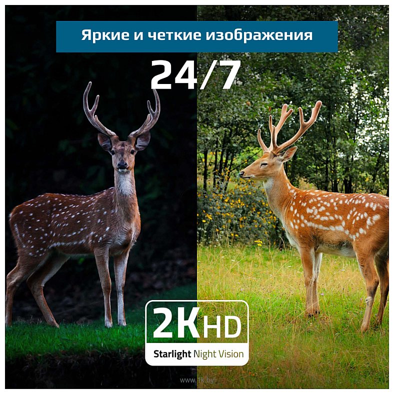 Фотографии Eufy 4G Starlight