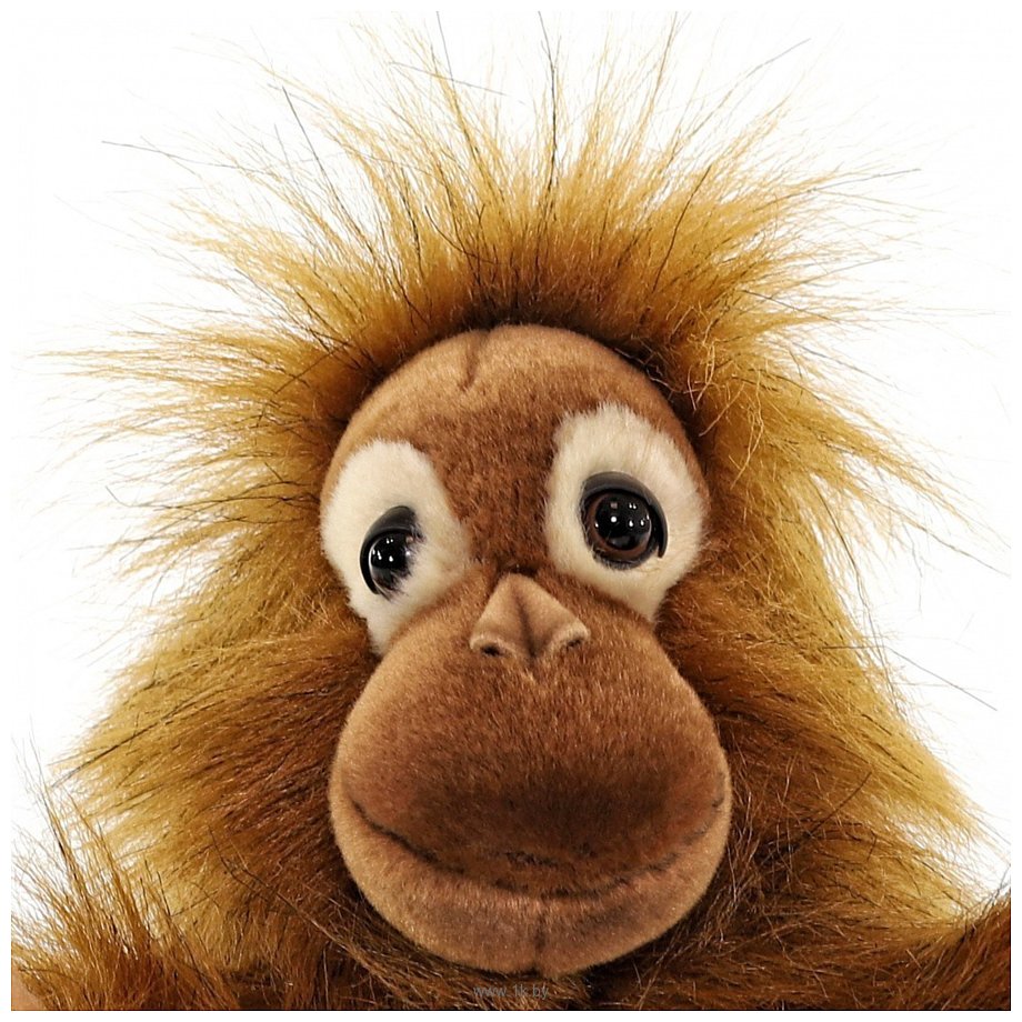 Фотографии Hansa Сreation Детеныш орангутана 4038 (25 см)