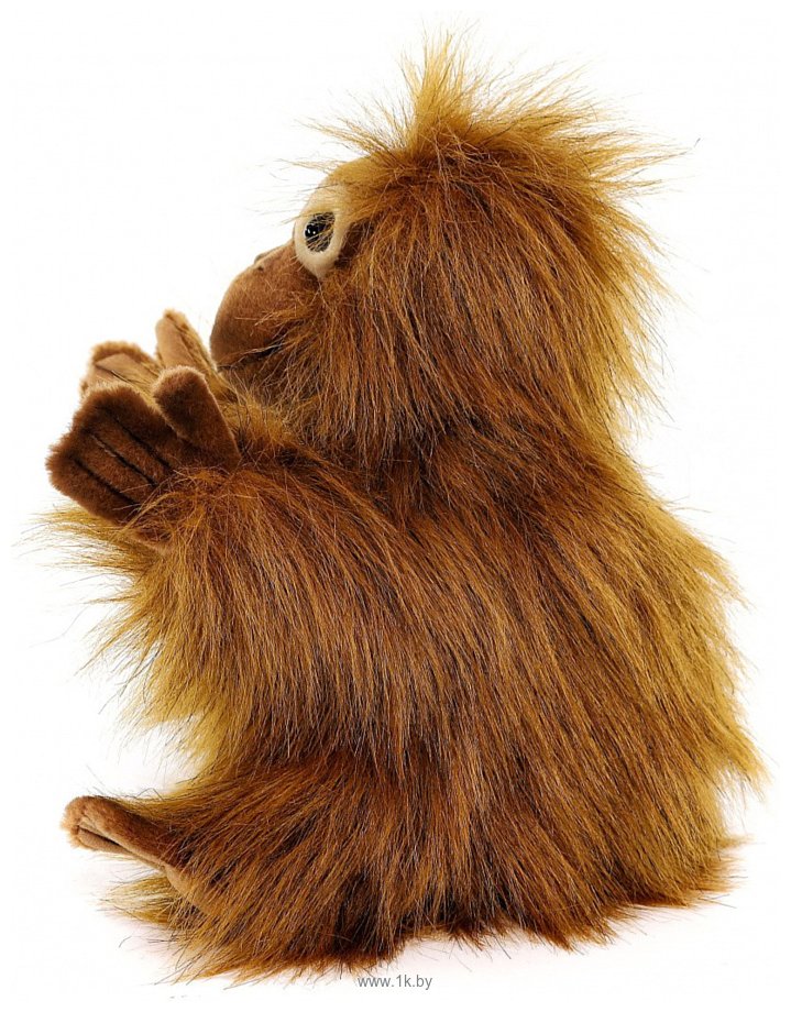 Фотографии Hansa Сreation Детеныш орангутана 4038 (25 см)