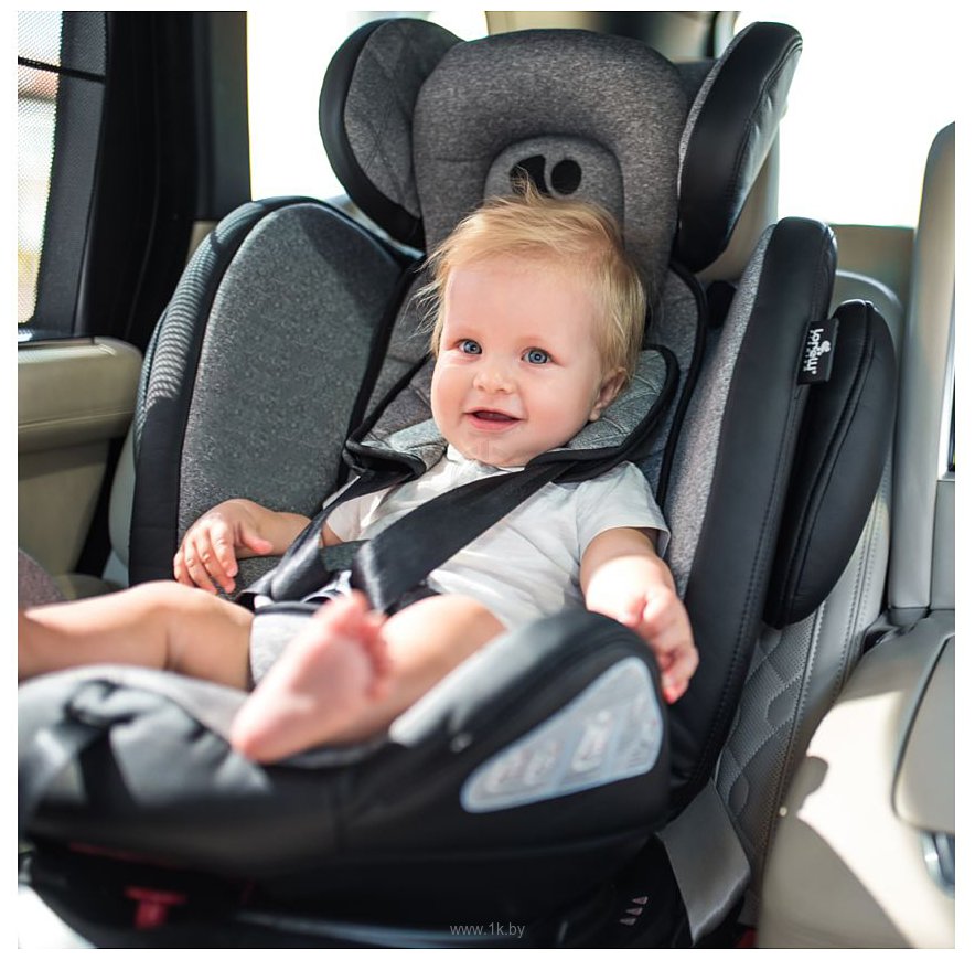 Фотографии Lorelli Aviator SPS Isofix 2023