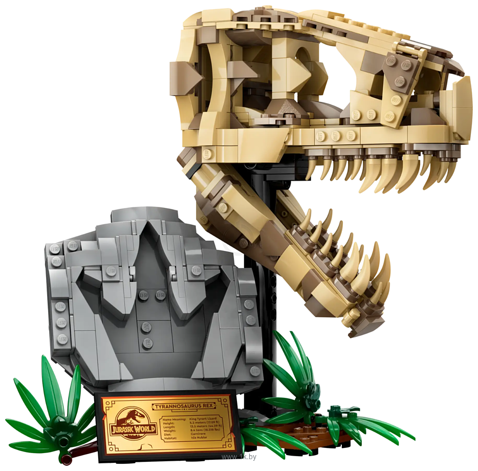 Фотографии LEGO Jurassic World 76964 Окаменелости динозавров Череп тиранозавра