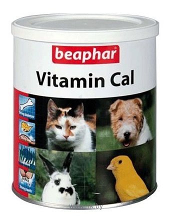 Фотографии Beaphar Vitamin Cal