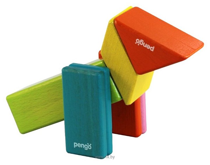 Фотографии Pengo Magnetic Blocks P00307 Start