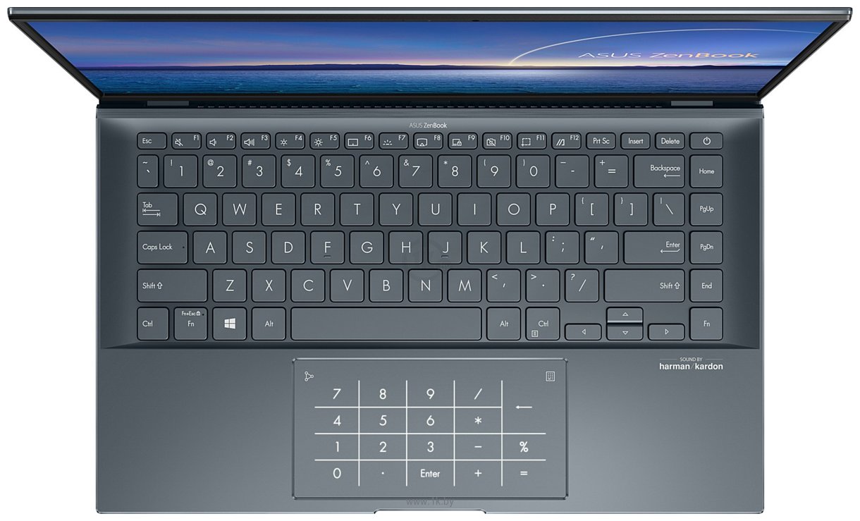 Фотографии ASUS ZenBook 14 UX435EGL-KC039T