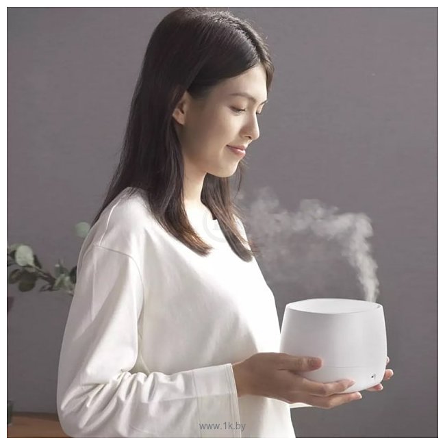 Фотографии HL Aroma Diffuser Pro