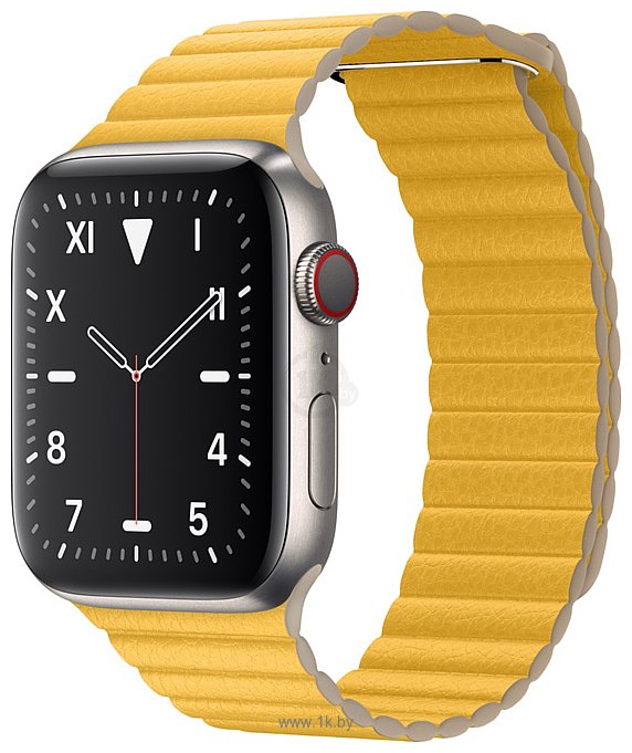 Фотографии Apple Watch Edition Series 5 44mm GPS + Cellular Titanium Case with Leather Loop