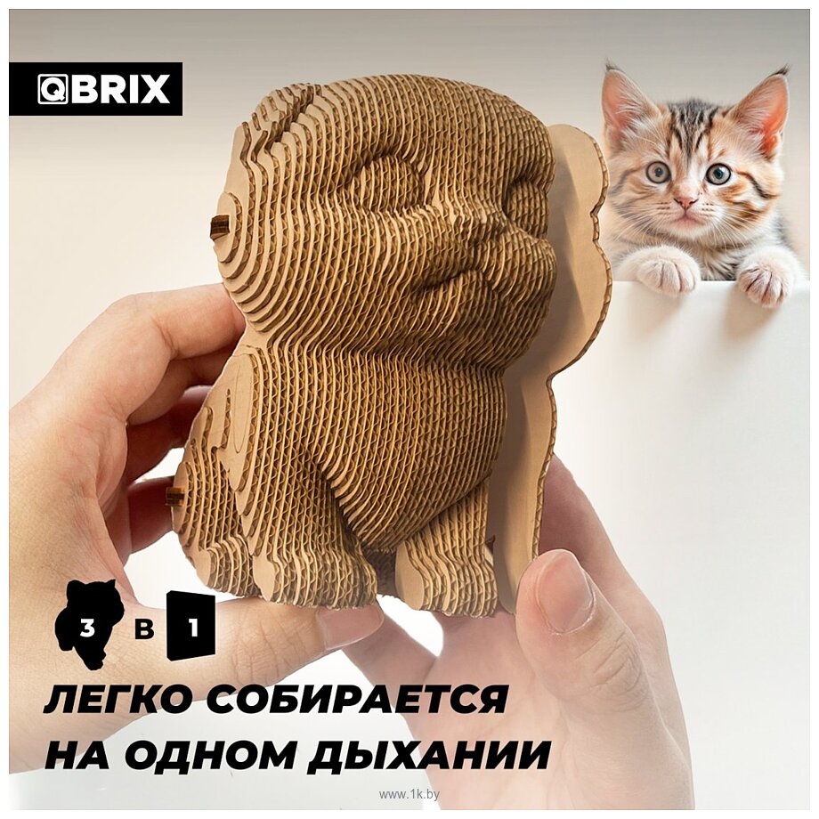 Фотографии QBRIX Три котика 3D. С глазками 20087