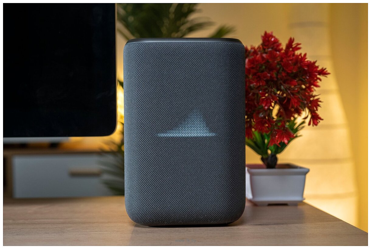 Фотографии Яндекс Станция 3