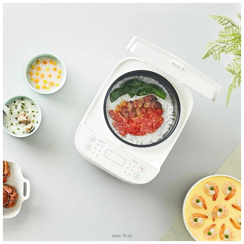 Фотографии Xiaomi Mijia Rice Cooker C1 3L MDFBZ02ACM