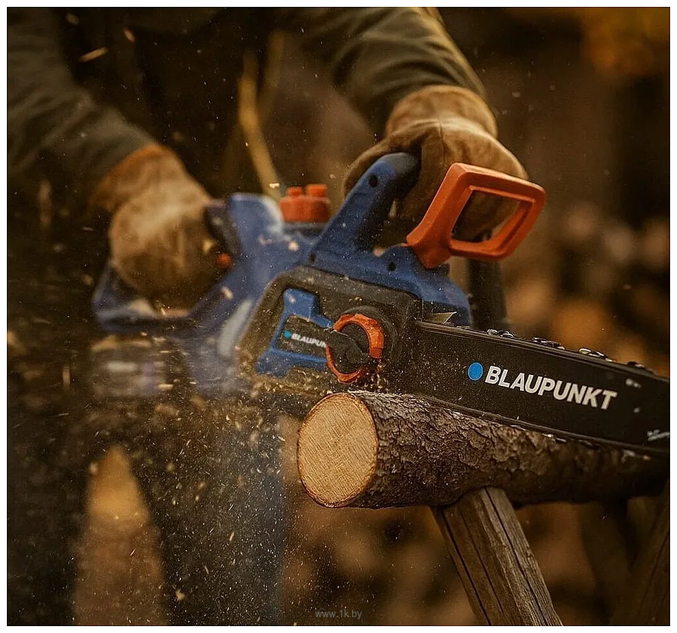 Фотографии Blaupunkt CS4120 (без АКБ) Фотографии Blaupunkt CS4120 (без АКБ)