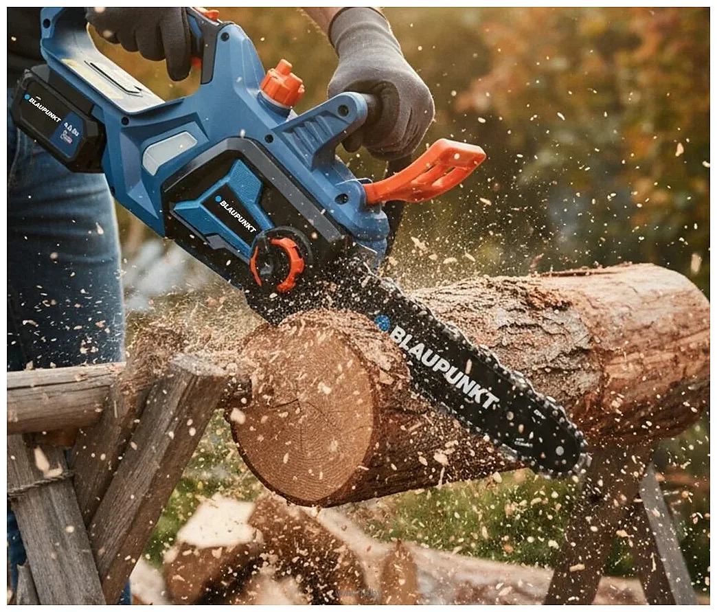 Фотографии Blaupunkt CS4120 (без АКБ) Фотографии Blaupunkt CS4120 (без АКБ)