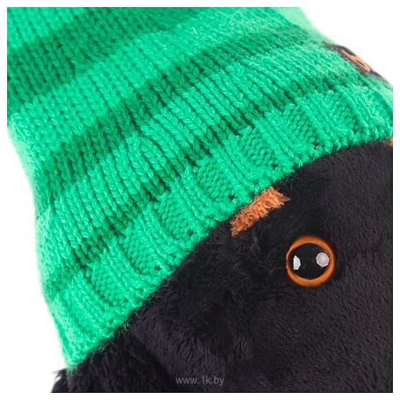 Фотографии Basik & Co в зеленой шапке и шарфе (25 см)