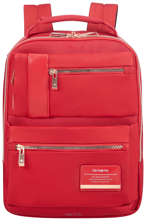 Фотографии Samsonite CL5*010