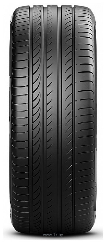 Фотографии Pirelli Powergy 205/55 R17 95V