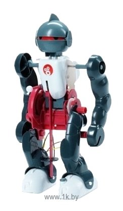 Фотографии Bondibon Науки с Буки ВВ0989 Робот-акробат