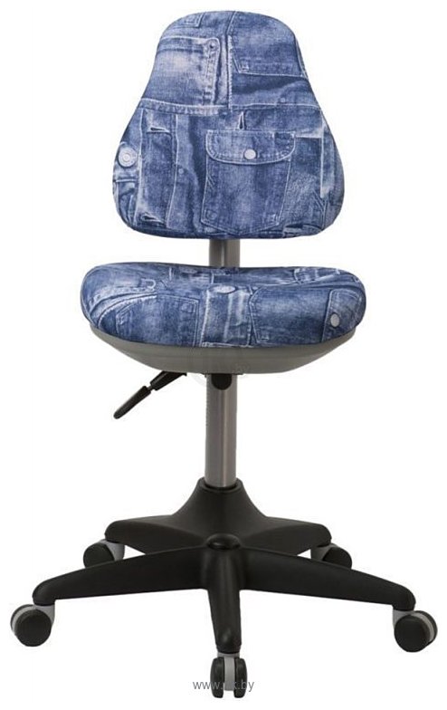 Фотографии Anatomica Study-100 Lux + органайзер с синим креслом KD-2 джинса (клен/серый)