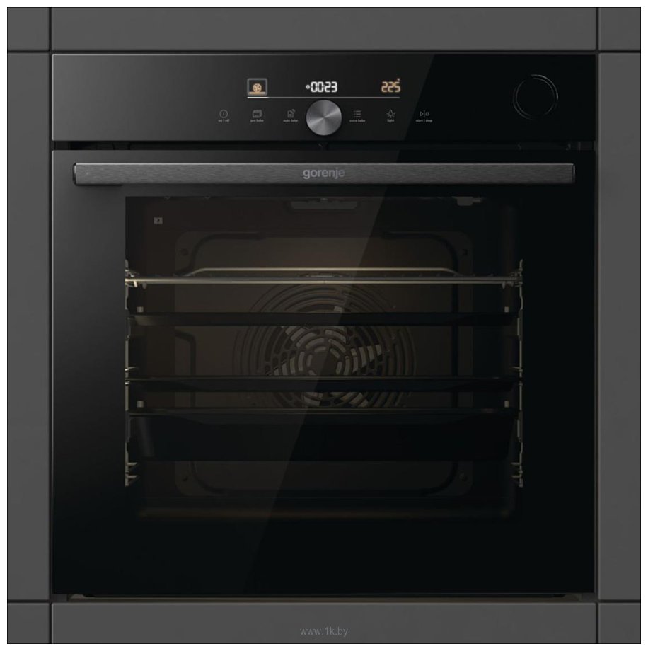 Фотографии Gorenje BSA6747DGWI