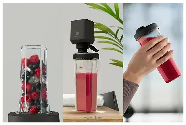 Фотографии Electrolux Explore 6 E6VB1-8ST