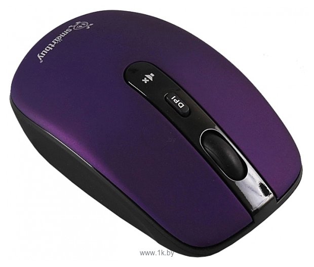 Фотографии SmartBuy SBM-314AG-P Purple USB