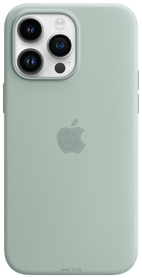 Фотографии Apple MagSafe Silicone Case для iPhone 14 Pro Max (сочный)
