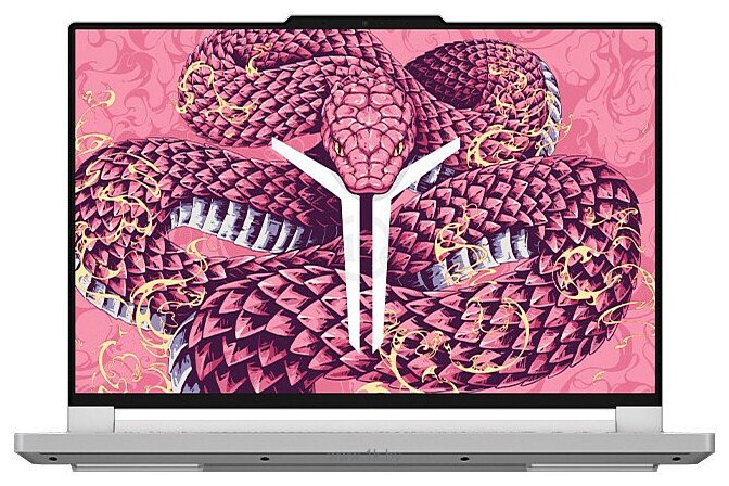 Фотографии Lenovo Legion R9000P ADR10 (83LV0007CD)