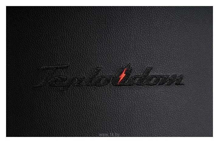 Фотографии Teplodom i-TRM SILVER StS 12